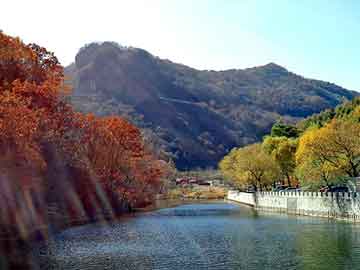 澳门二四六天天彩图库，杰德论坛